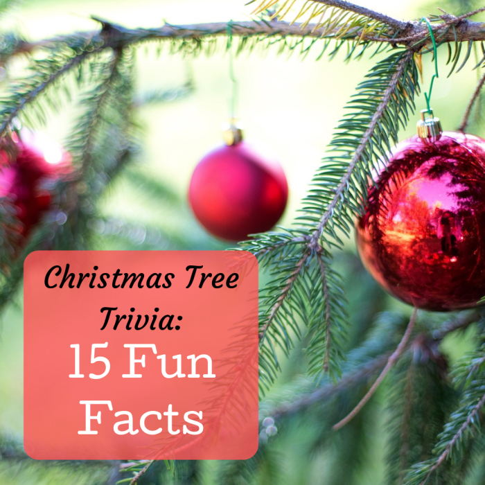 Find out how much you really know about the tradition of the Christmas tree with these 15 trivia facts!