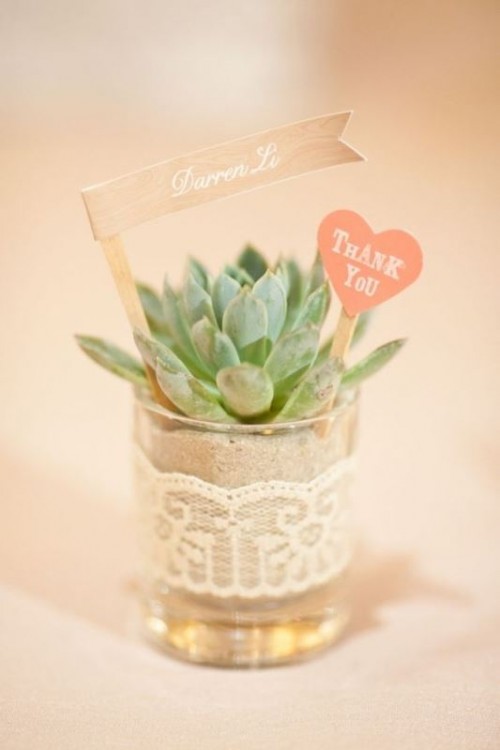 little succulents in tiny pots with lace, toppers is a trendy idea for a modern wedding rehearsal dinner