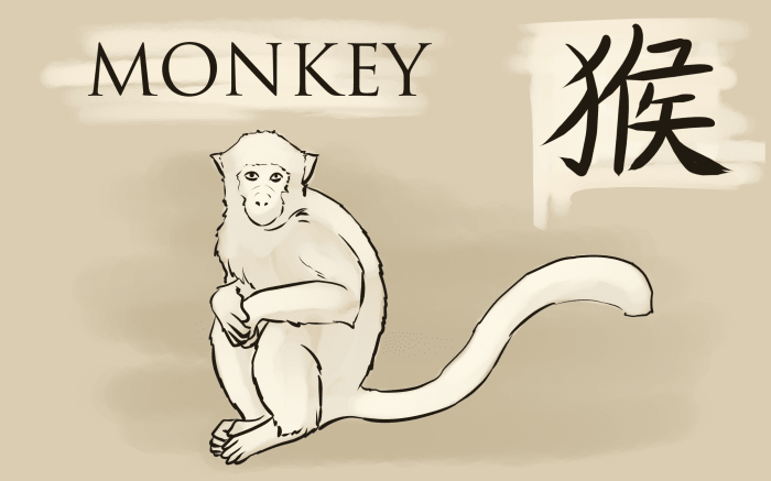 Playful and engaging, a person with a monkey in their zodiac is often fun to be around.