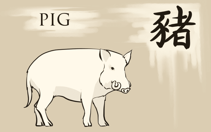 A person born under the sign of the pig is individualistic and happy to do their own thing!