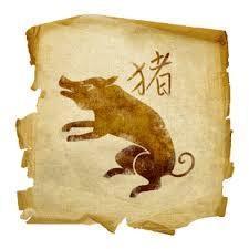 How to know my chinese zodiac sign by date of birth - Chinese zodiac: Pig or boar
