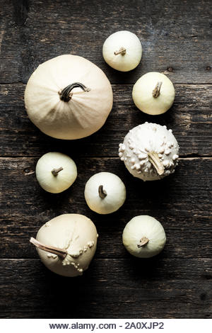 Happy Thanksgiving Background. Selection of various decorative white pumpkins on dark wooden background. Holiday still life. - Stock Image
