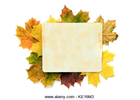 autumn background - old paper texture on the leaves. Clipping path - Stock Image