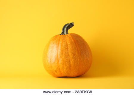 Pumpkin on yellow background, space for text - Stock Image