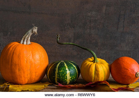 variety of fresh harvested pumpkins and autumn leaves on wooden table. thanksgiving background - Stock Image