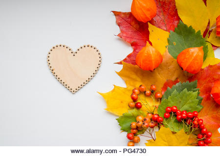 Autumn Thanksgiving background with wooden heart.Autumn still life. Colorful maple autumn leaves, rowan berries, ashberry and physalis on white background,autumn still life. Autumn concept. Fall composition. - Stock Image
