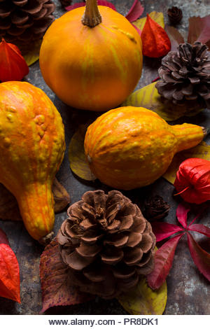 Happy Thanksgiving Background. Selection of various pumpkins on dark metal background. Autumn Harvest and Holiday still life. - Stock Image