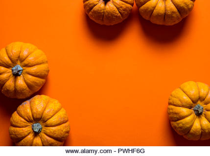 Small pumpkins on a bright orange backdrop. Halloween and thanksgiving background - Stock Image