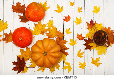 Thanksgiving background: Pumpkins and fallen leaves on white wooden background.  Halloween or Thanksgiving day or - Stock Image