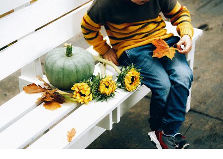Cropped image of a little boy sitting on white bench with Good autumn harvest for Thanksgiving day. Green pumpkin, autumn oak leaves and sunflowers on white bench in white background. Space for test. - Stock Image