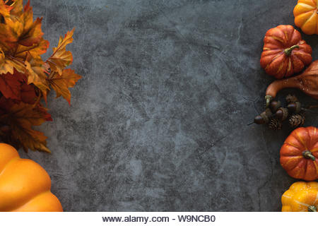 Thanksgiving background with pumpkins, leaves and nuts on a grey cement background. - Stock Image