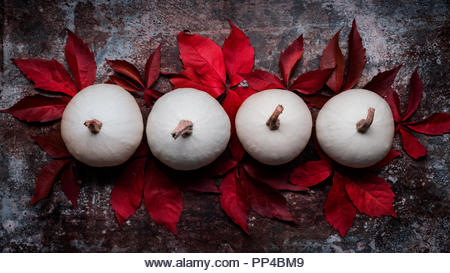 Happy Thanksgiving. Pumpkins and fallen leaves on dark retro background. Autumn and seasonal decorations. Thanksgiving Holiday still life. - Stock Image