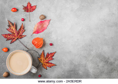 Fall or autumn composition. Coffee cup, autumn leaves, flowers, berries, nuts on concrete background. Autumn, fall, thanksgiving day concept. Flat lay - Stock Image