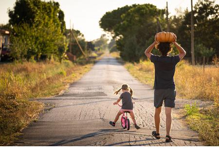 Little child girl, riding a bike, with her young father carrying a big halloween pumpkin over his head, on a country road at sunset. Back view. - Stock Image