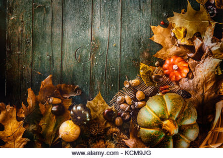 Thanksgiving  day dinner. Autumn fruit and leaves.. Thanksgiving autumn background - Stock Image