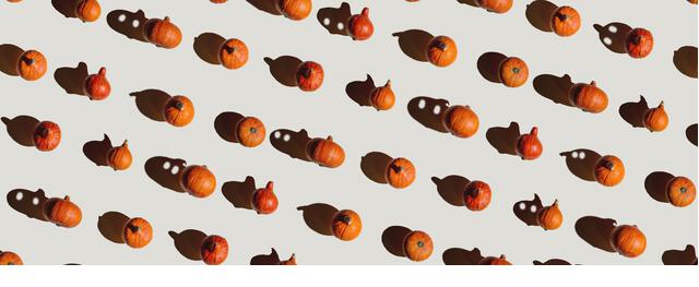Pattern of many different pumpkins with a hard shadow on a gray background. Halloween concept. Banner - Stock Image