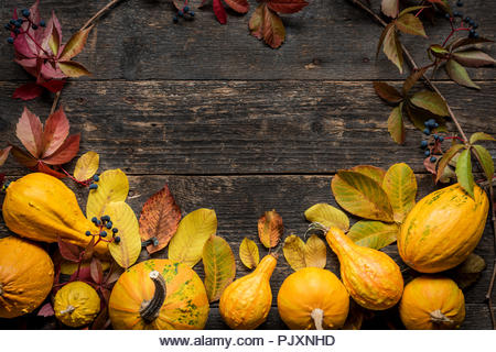 Happy Thanksgiving Background. Autumn Harvest and Holiday border. Selection of various pumpkins on dark wooden background. Autumn vegetables and seaso - Stock Image