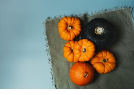 Top view decorative pumpkins on green napkin. Autumn harvest composition on trendy earth tones color background. Autumn, fall, thanksgiving, halloween - Stock Image