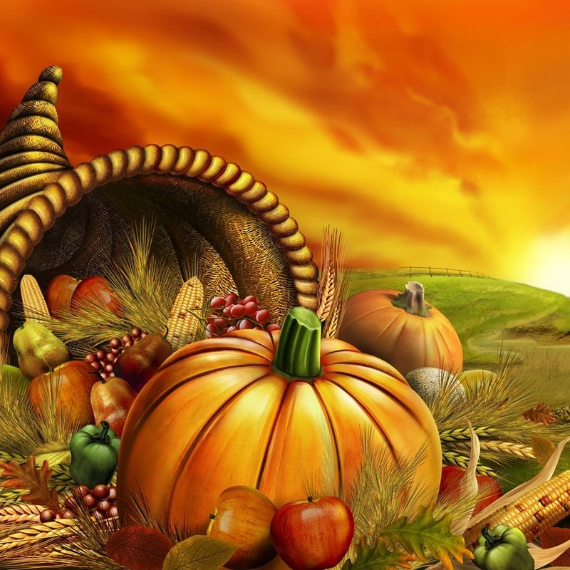 10 Best High Resolution Thanksgiving Images FULL HD 1920×1080 For PC Background 2021 free download thanksgiving high resolution pictures high resolution pictures 800x800
