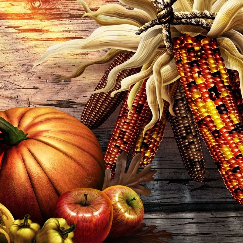 10 Best High Resolution Thanksgiving Images FULL HD 1920×1080 For PC Background 2021 free download thanksgiving wallpapers fine hdq thanksgiving photos wonderful 800x800