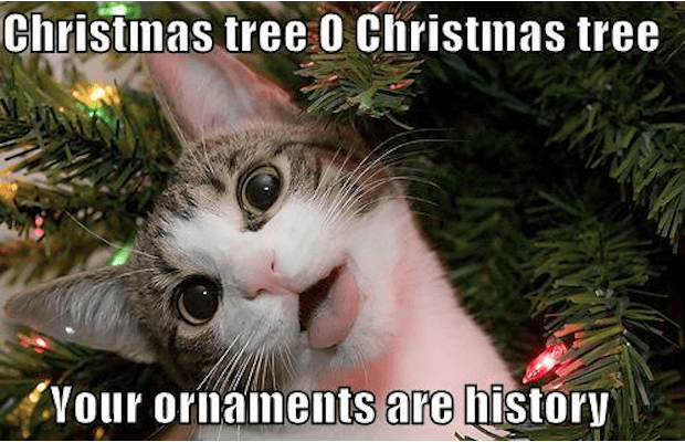 christmas tree o christmas tree your ornaments are history funny merry memes