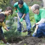 Great Ideas for Filling Your Community Service Hours