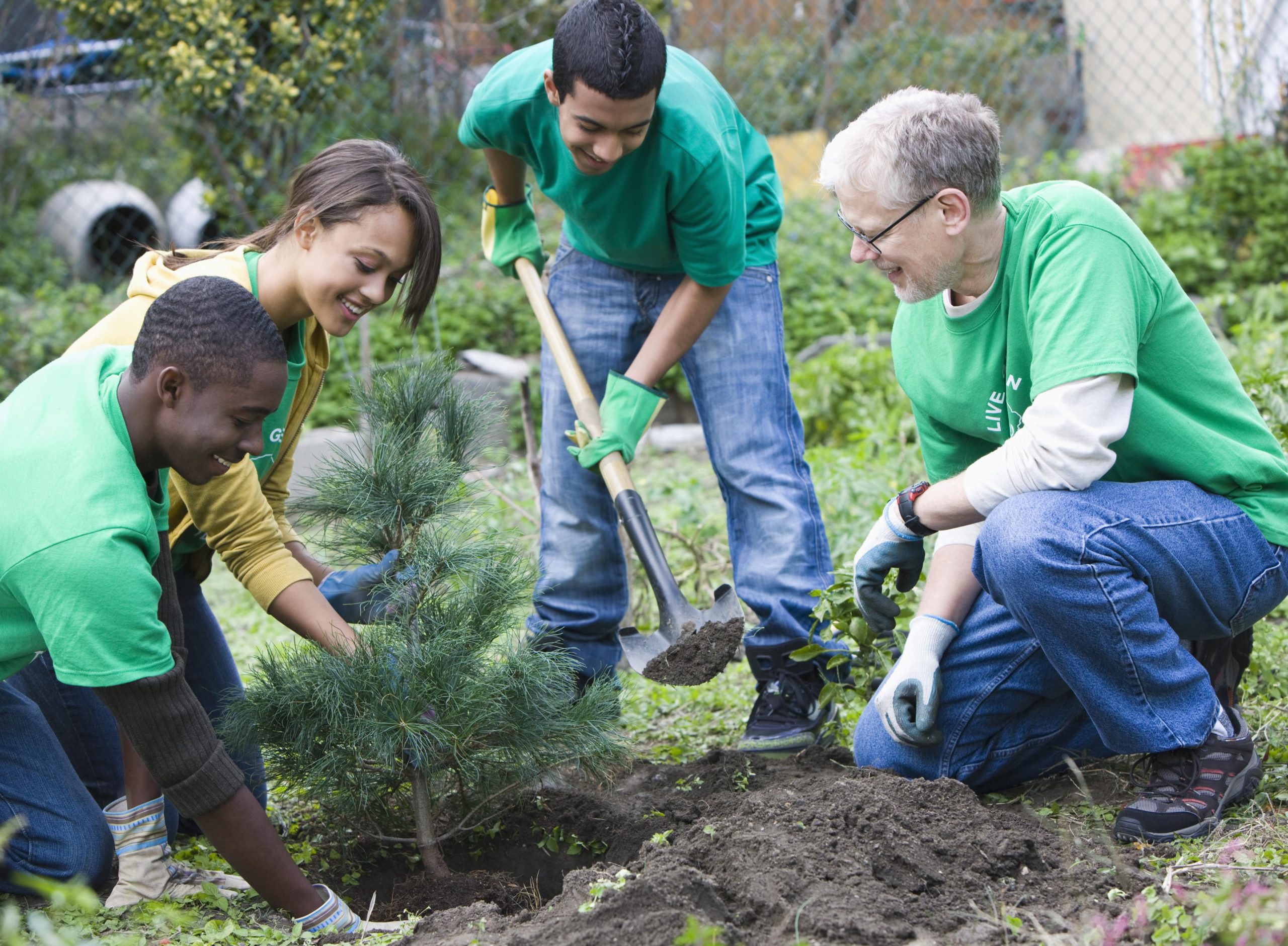 Great Ideas for Filling Your Community Service Hours