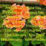 Valentine Week List 2020: Full Calendar