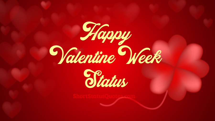 Valentine Week Status - Rose, Propose, Teddy, Promise, Hug & Kiss