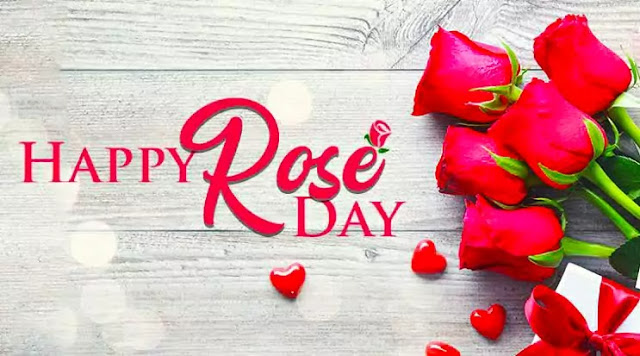 Happy Rose day