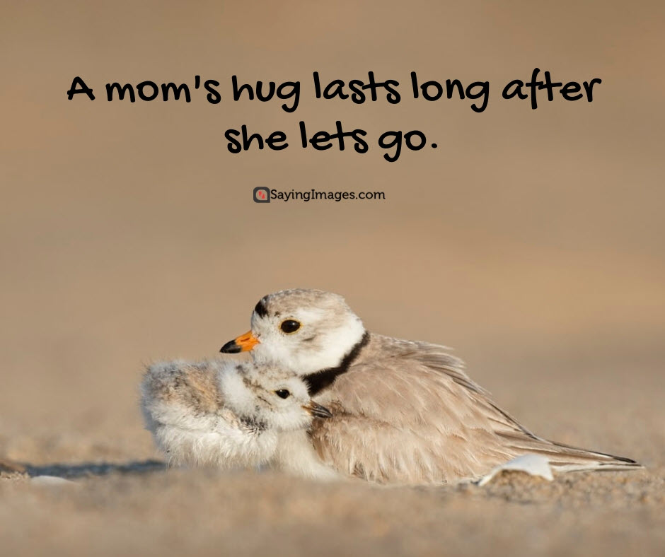 mothers day quotes hug