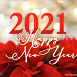New Year 2021: 21 Heartwarming Wishes, Greetings, Images For Friends, Family And Colleagues