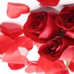 Sweet Messages For Valentine's Day | Valentine's Day Love Phrases