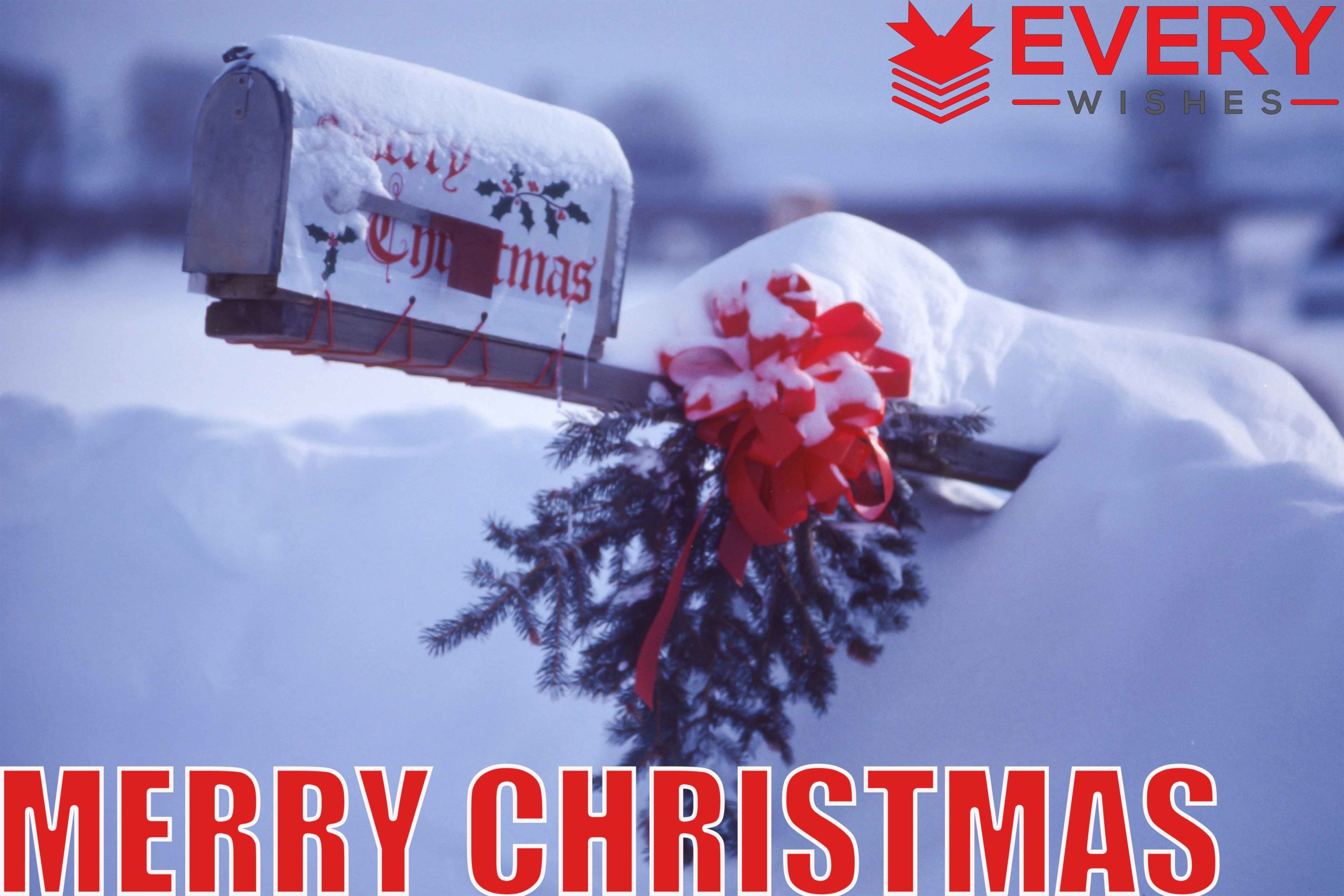 WE WISH YOU A MERRY CHRISTMAS | QUOTES | MESSAGES