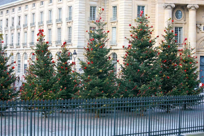 Christmas trees in Paris are a regular sight during the holidays. 