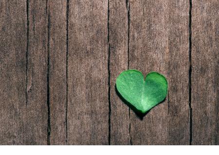 Heart-shaped part of shamrock leaf on shabby wooden background. St. Patrick's Day, Valentine's day. Symbol of love. Selective focus. - Stock Image