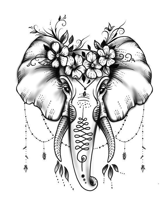 elephant tattoo designs drawings