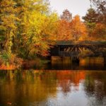 Fall bridge