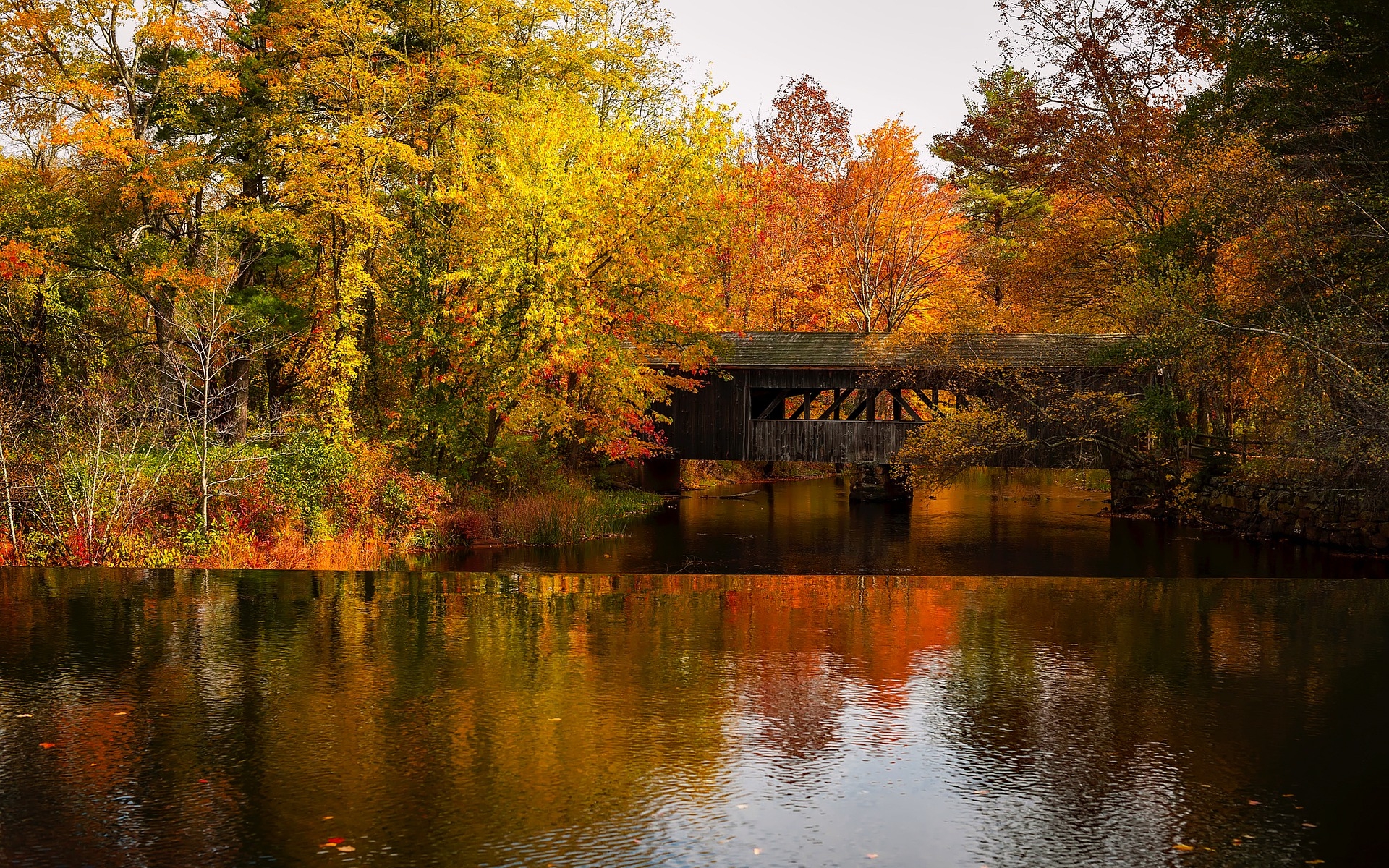 Fall bridge