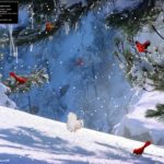 Winter Scene 3D ScreenSaver Download 3D Screen Saver