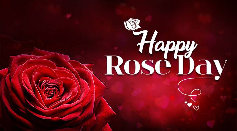 Happy Rose Day: Wishes, Images, Status, Quotes for Whatsapp and Facebook