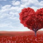 Valentine's Day 2021 - National Awareness Days Calendar 2021