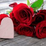 What is Rose Day and the the significance of different coloured roses