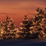 10 Top Christmas Lights Desktop Wallpaper FULL HD 1080p For PC Desktop 2021 free download free desktop christmas lights wallpapers winter media file 3 800x800