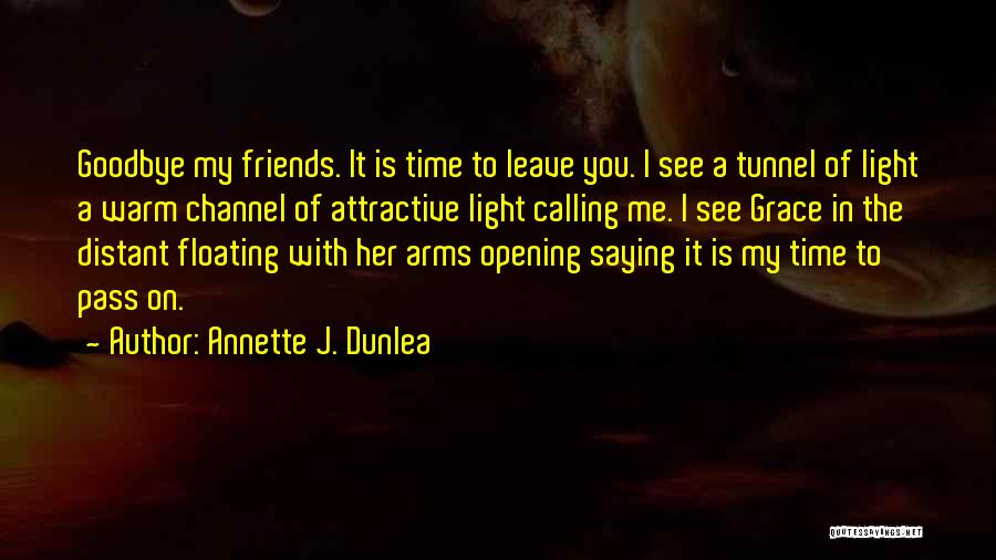 Friends Forever Quotes By Annette J. Dunlea