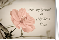 Happy Mother‡s Day for Friend - Pink Flower card