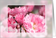 Mother‡s Day Greeting Card - Flowers card