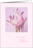 Mother‡s Day for Friend - Soft Pink Flowers card