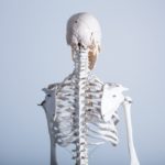 35 Skeleton Jokes To Tickle Your Funny Bone
