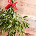 What is the Christmas mistletoe and what is done with it at Christmas